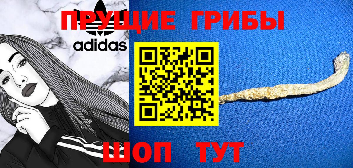Галлюциногенные грибы Psilocybine cubensis  Вход с VPN  Учалы 
